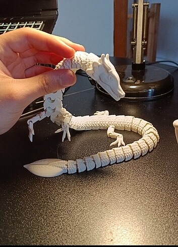 3d printed ejder