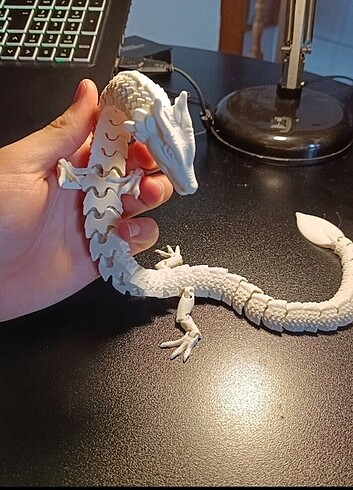 Beden Renk 3d printed ejder
