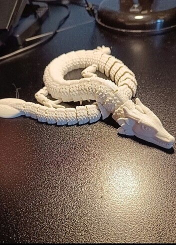 3d printed ejder