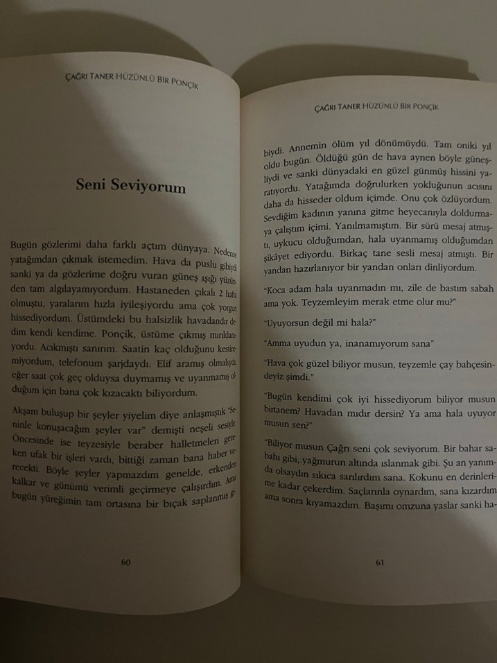 Hüzünlü Bir Ponçik - Çağrı Taner - Görsel 3