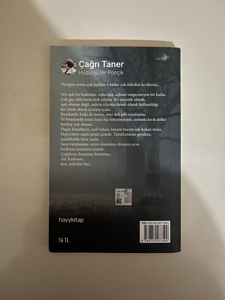 Hüzünlü Bir Ponçik - Çağrı Taner - Görsel 2