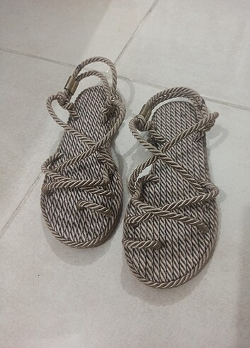 Sandalwt