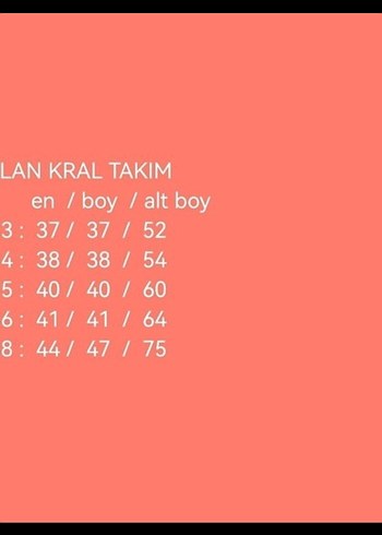 7 Yaş Beden gri Renk Gri Aslan Kral Baskılı Erkek Çocuk Eşofman Takımı 7-8 yaş