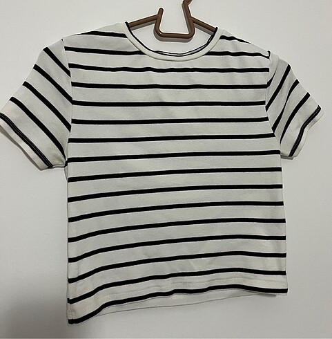 STRADİVARİUS CROP