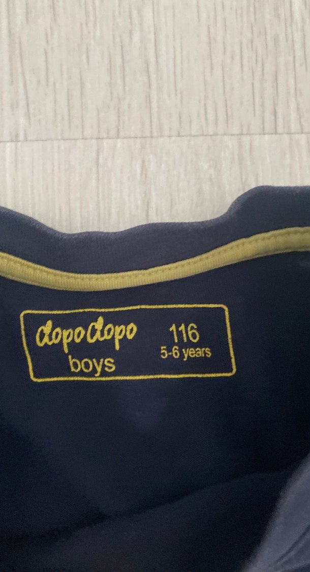 Erkek Çocuk Çok Renkli Dinozor Baskılı Tişört - Görsel 3