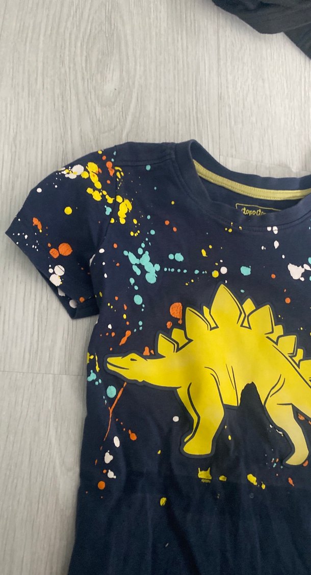 Erkek Çocuk Çok Renkli Dinozor Baskılı Tişört - Görsel 2