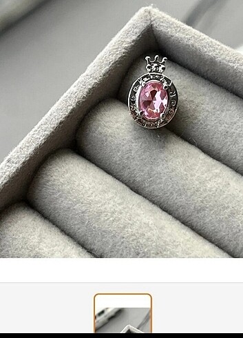 Taçlı charm