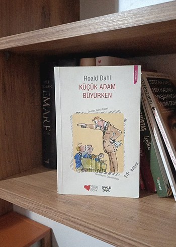 Küçük Adam Büyürken - Roald Dahl