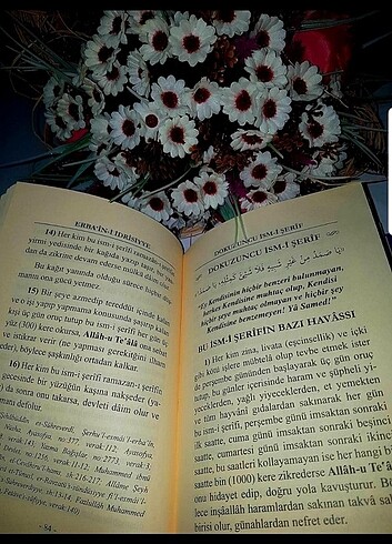 Beden Renk ERBAINI IDRISIYYE