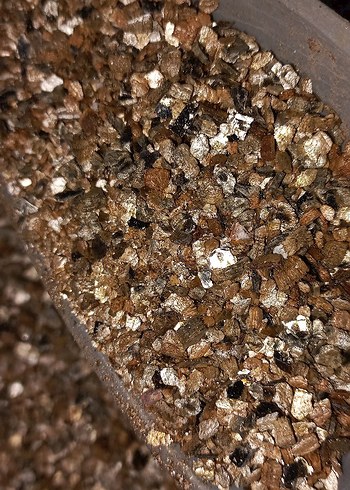 Parlak Altın Rengi Toz VERMİKULİT 3 LİTRE - Görsel 3