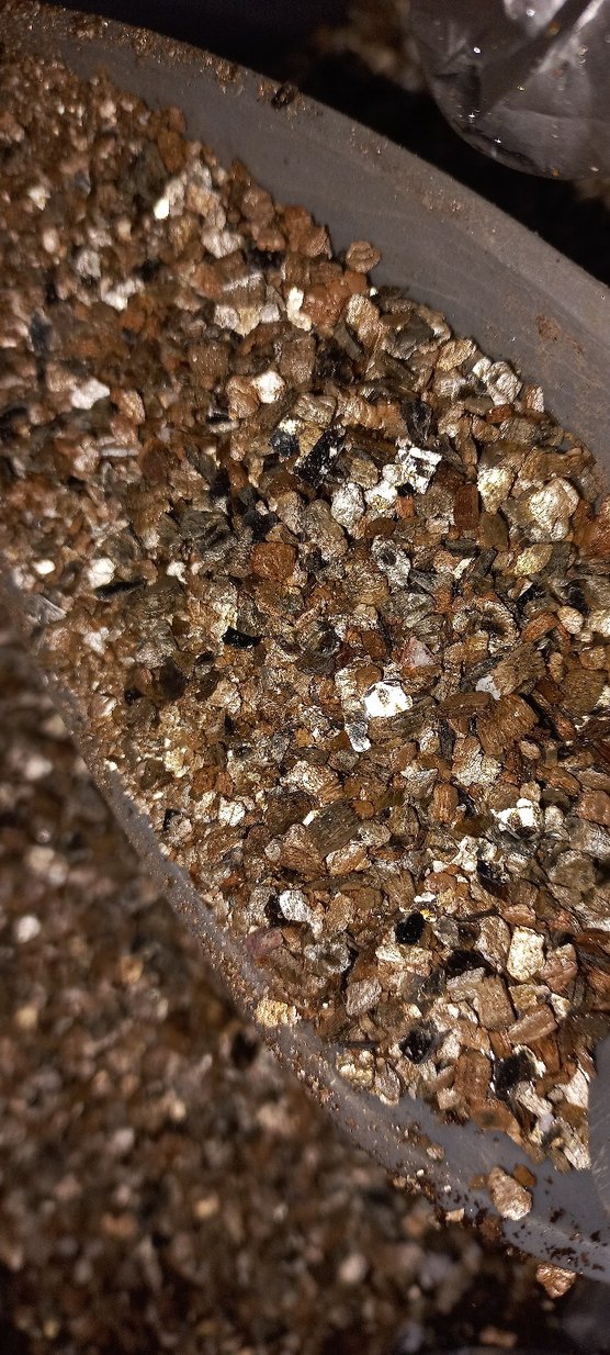 Parlak Altın Rengi Toz VERMİKULİT 3 LİTRE - Görsel 3