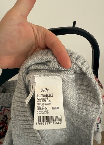 Nakışlı Gri Erkek Çocuk Triko Kazak - Görsel 6