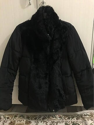 Koton mont