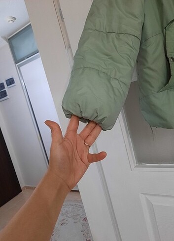Mint yeşili