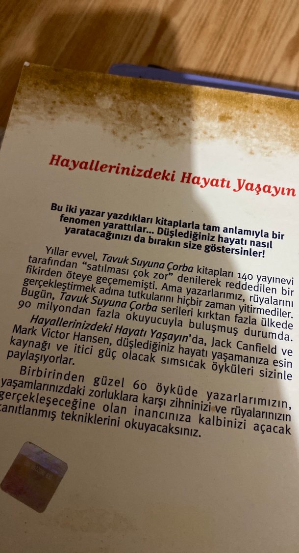 Tavuk Suyuna Çorba - Hayallerinizdeki Hayatı Yaşayın - Görsel 3