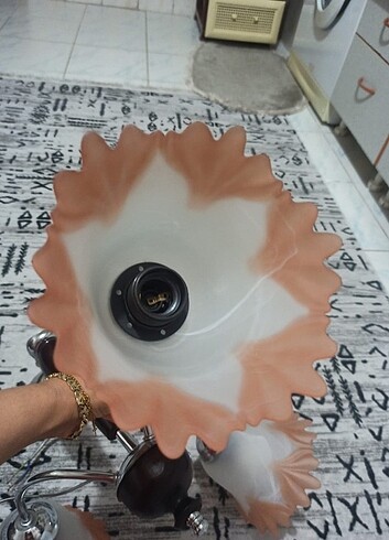3lü avize 