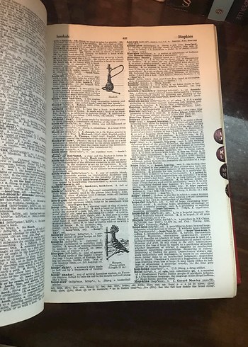 The Random House College Sözlüğü - Gözden Geçirilmiş Baskı - Görsel 3
