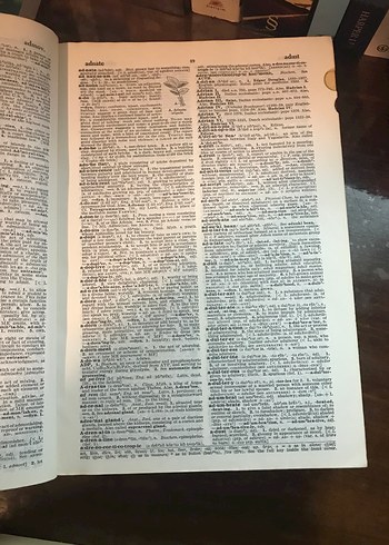 The Random House College Sözlüğü - Gözden Geçirilmiş Baskı - Görsel 2