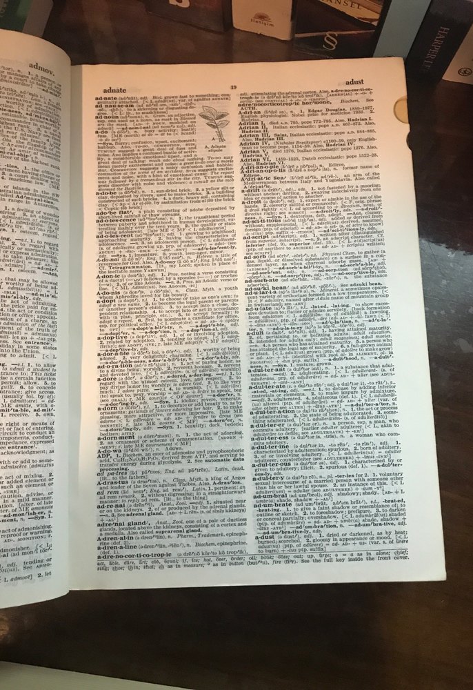 The Random House College Sözlüğü - Gözden Geçirilmiş Baskı - Görsel 2