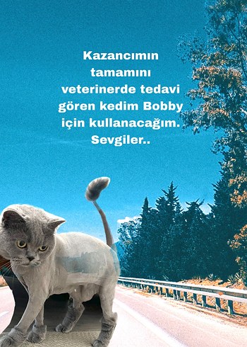 Beden Anatolian Kedi ve Çiçek Temalı Puzzle