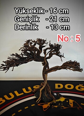 Akvaryum Ağaç Figürü 