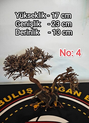 Akvaryum Ağaç Figürü 