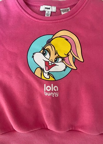 5 Yaş Beden Kız Çocuk Pembe Baskılı Sweatshirt