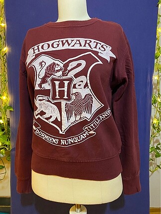 Harry potter sweat