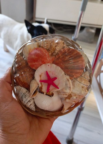 Pembe Deniz Kabuklu Dekoratif Vazo - Görsel 3