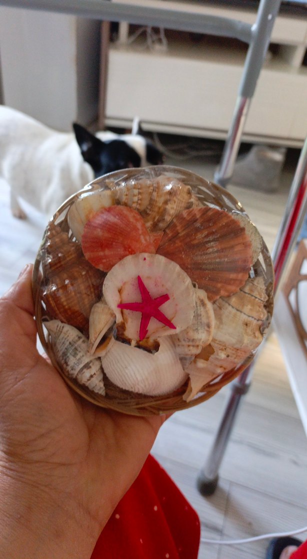 Pembe Deniz Kabuklu Dekoratif Vazo - Görsel 3