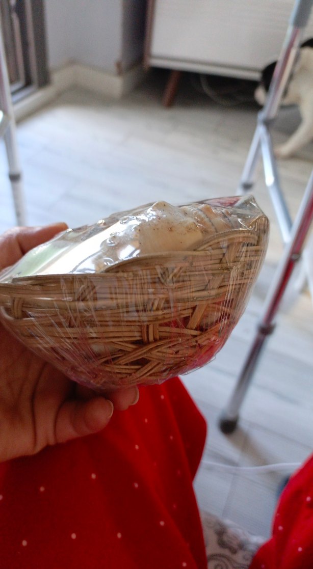 Pembe Deniz Kabuklu Dekoratif Vazo - Görsel 2