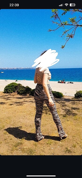 Zebra desenli alt