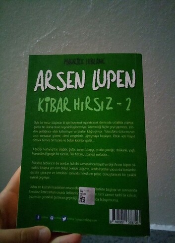  Kibar hırsız 2