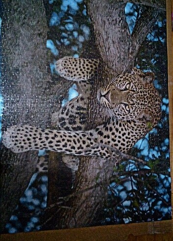 Diğer Puzzle