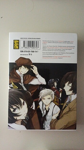  bungou stray dogs manga