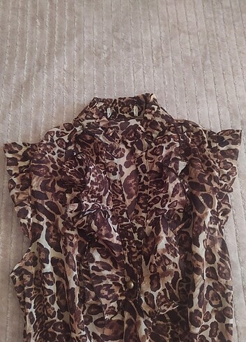 Leopar pareo  - Görsel 3