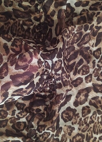 Leopar pareo  - Görsel 5