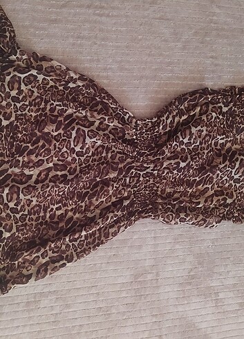 Leopar pareo  - Görsel 6