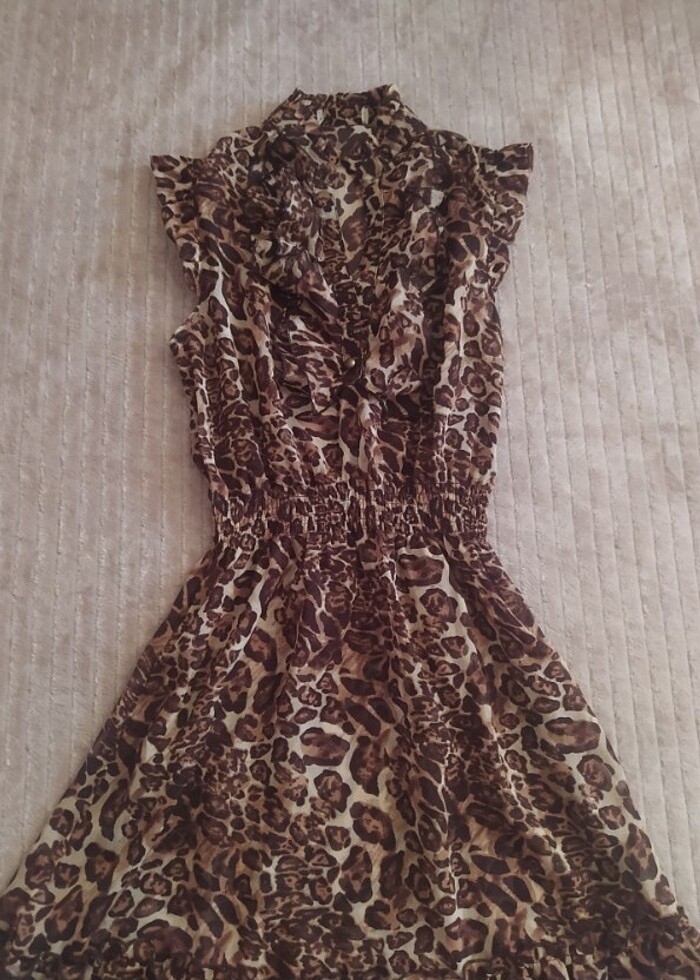 Leopar pareo  - Görsel 4