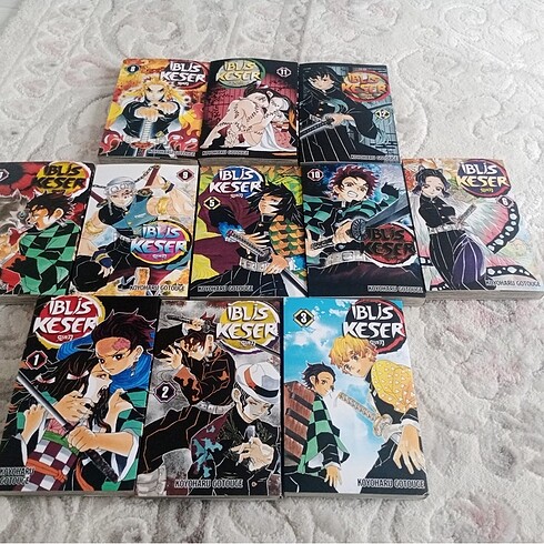 Manga kitabı (iblis keser)