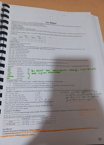  Türkçe Ders Notları 
