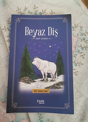 Kitap 