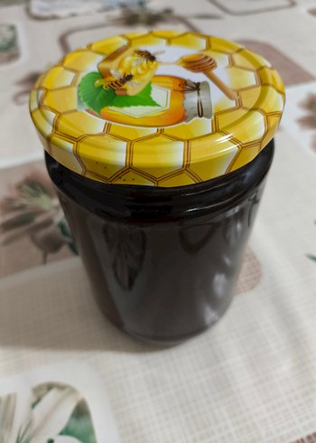 Organik Çam Balı 650gr.