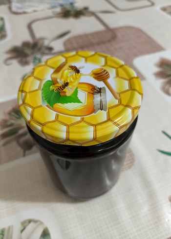 Diğer Organik Çam Balı 650gr.