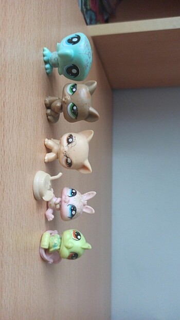 5 miniş