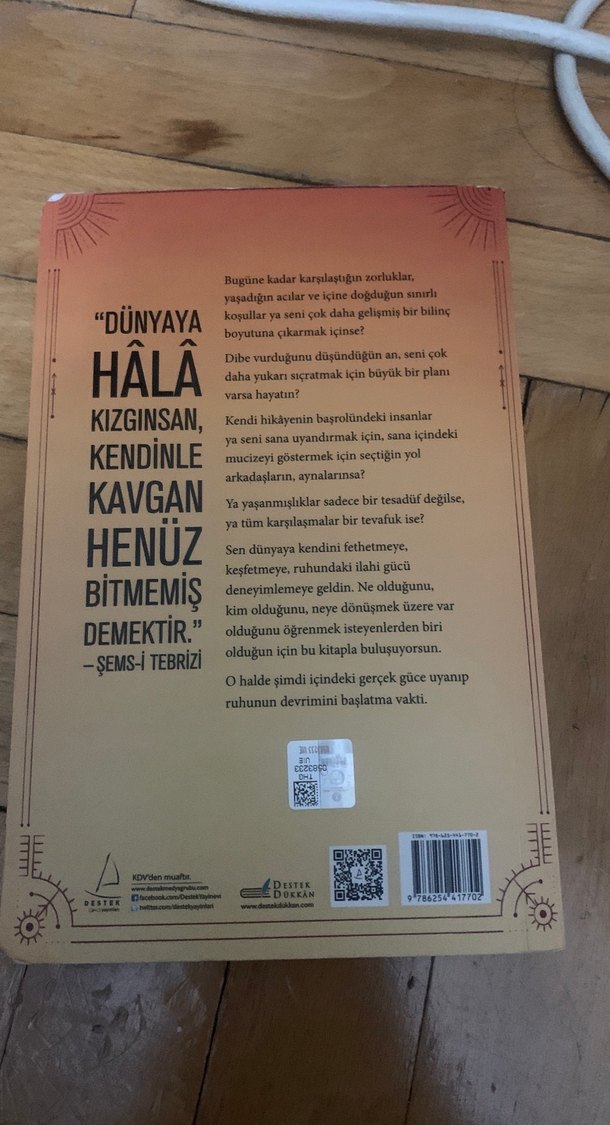 Dünya Okulunda Ruhun Devrimi - Anıl Şehirlioğlu - Görsel 2