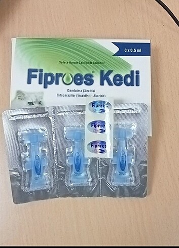 Kediii