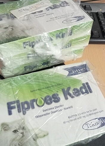 Kediii