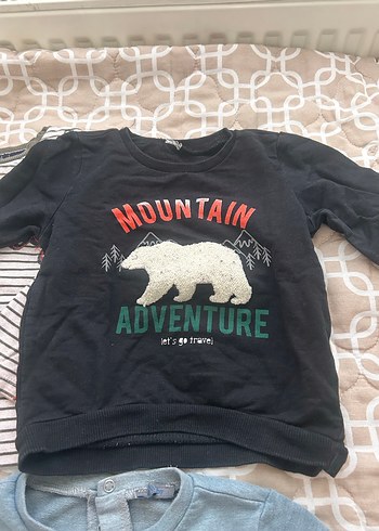 Gri Baskılı Erkek Sweatshirt, Uzun Kollu, Pamuklu - Görsel 3