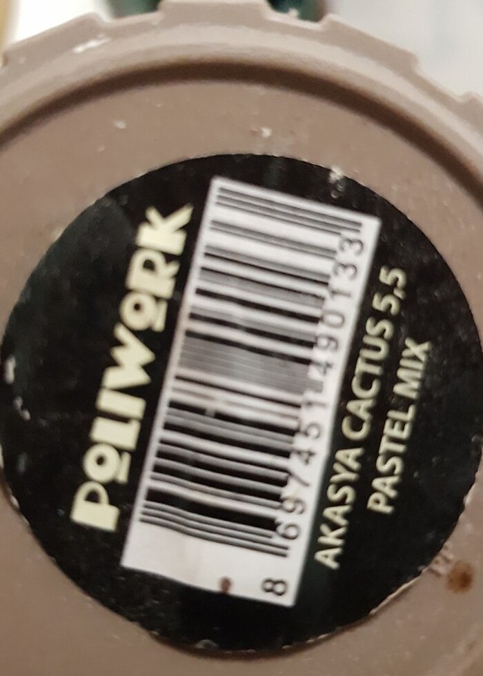 POLIWORK MINI SAKSI-SUKULENT, KAKTÜS 4lü renkli - Görsel 4